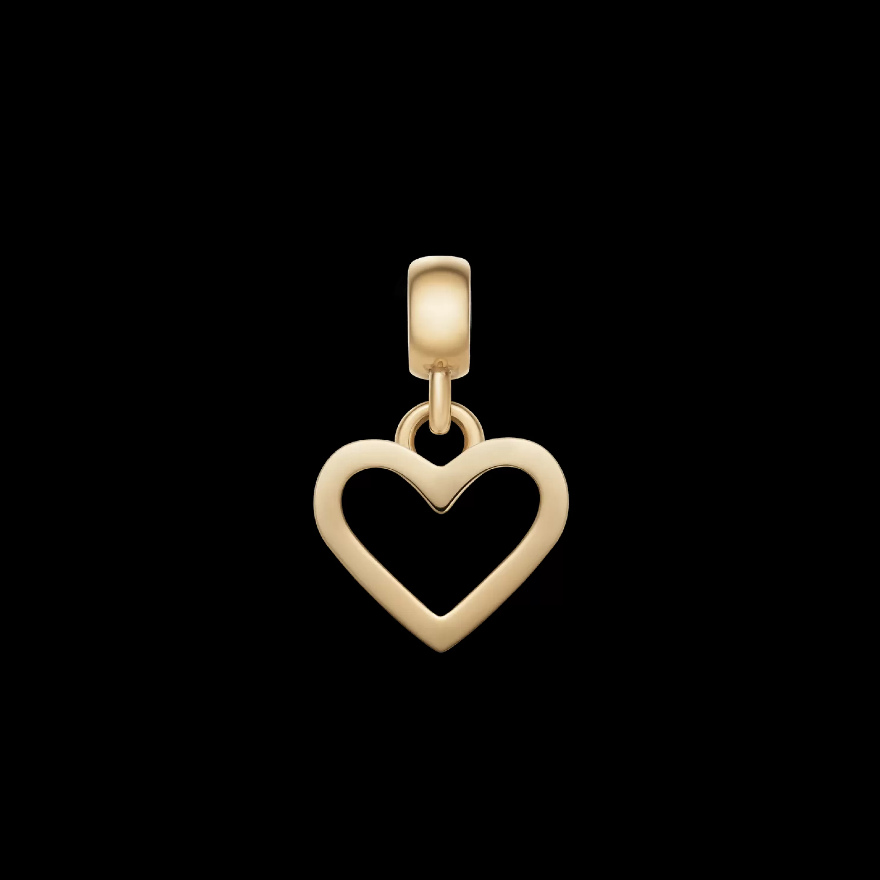 Daniel Wellington Charms<Heart Contour Charm G